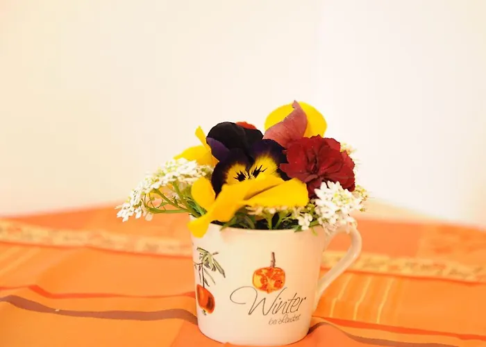 Gaestehaus Standardhaus 住宿加早餐酒店 萨尔巴赫